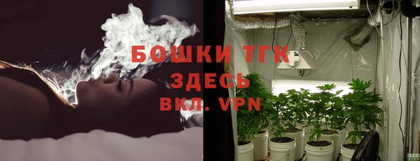 тгк Дмитров