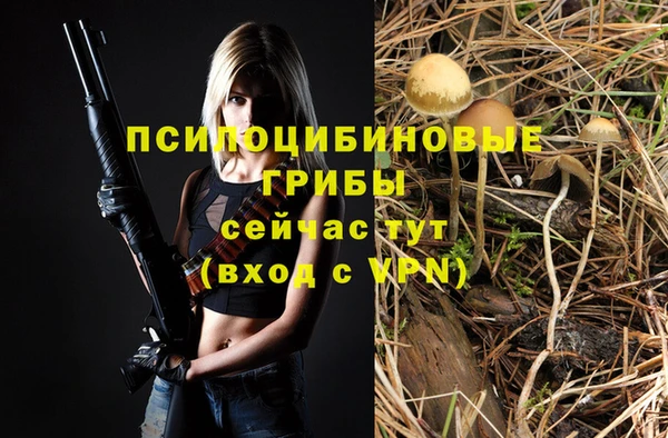 тгк Дмитров