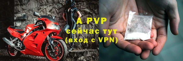 ешки Елизово